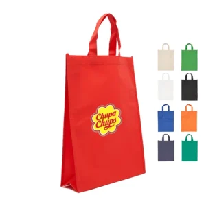 Bolsa Z1 41x31x10